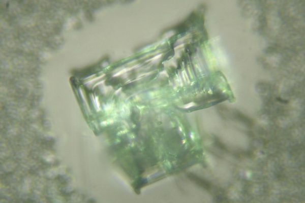 immagine cristallo 1